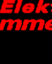 Elektro Lammering Logo