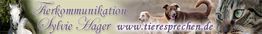 Pferd, Katzen und Hunde, mit Text: "Tierkommunikation Sylvie Hager www.tieresprechen.de".