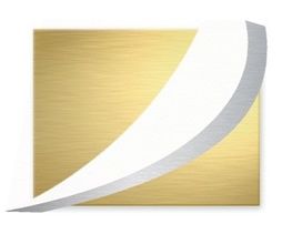 Friends Financials Logo