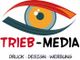 Logo mit stilisiertem Auge, Text: "TRIEB-MEDIA", darunter "DRUCK - DESIGN - WERBUNG".