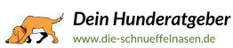 Zeichnung eines gelben Hundes, Text: "Dein Hunderatgeber www.die-schnueffelnasen.de".