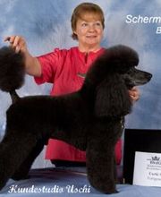 Groomer- Schermeisterschaft  2011