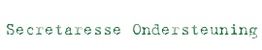 Tekstafbeelding: "Secretaresse Ondersteuning" in een eenvoudige groene lettertype stijl.