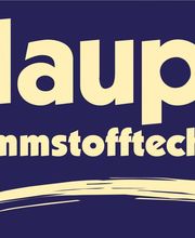 Haupt-Dämmstofftechnik Logo