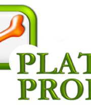 PLATZPROFIS Logo