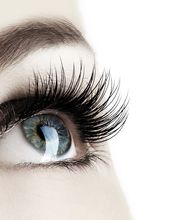 yeux les beauté Logo