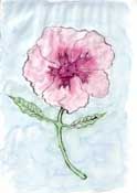 Aquarell einer rosafarbenen Blume mit grünem Stängel und zwei Blättern auf hellem Hintergrund.