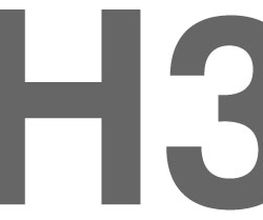 H3 Logo