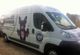 Camionnette blanche avec un dessin de chien noir sur le côté et des infos de service de toilettage.
