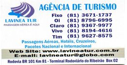 Cartão da agência de turismo Lavinea Tur com contatos e serviços de passagens e pacotes.