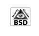 Dreieck mit Auge und Schriftzug "Security Services BSD" in Schwarz-Weiß.