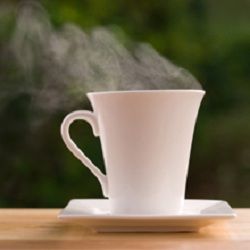 Steaming white cup on a saucer with a blurred green background.