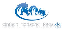 Logo mit blauen Tierköpfen (Pferd, Hund, Katze) und Text: "einfach-tierische-fotos.de".