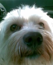 01.07.-31.07.16: Farbe 60,- €