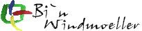Buntes Logo mit stilisiertem Quadrat und Text: "Bin Windmoeller".