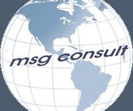 msg consult Logo