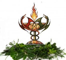 Due draghi intrecciati con fiamma sopra, circondati da foglie verdi su sfondo bianco.