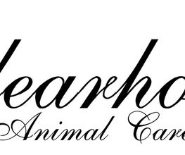 Clearhorse UG Logo