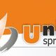 Logo met tekst "Union Springs" op een oranje en witte achtergrond.