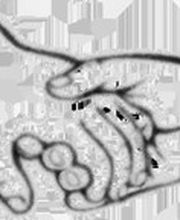 Hilfe im Alltag durch Kathrin Logo
