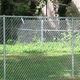 Chain-link fence with vegetation in the background.