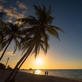 Strand mit Palmen bei Sonnenuntergang, Personen spazieren im Sand, ruhiges Meer im Hintergrund.