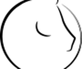 bowe Reitsportsysteme Logo