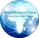 Logo de Wildlife Terra Films con un globo terráqueo azul de fondo.