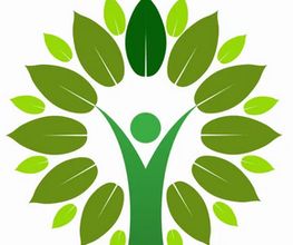 bohytex.de Logo