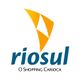 Logotipo do Rio Sul: triângulos laranja e texto "riosul, O Shopping Carioca" em azul.