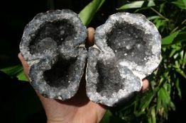 Hand houdt een geopende geode met kristallen vast, op de achtergrond groene bladeren.