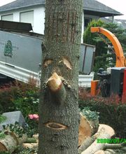 Baum- und Gartenpflege Kraus Logo