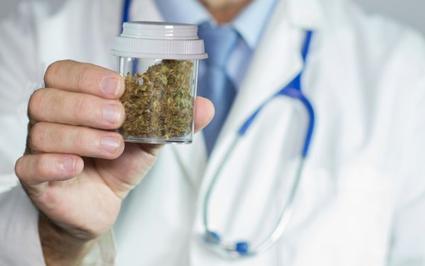 Arzt hält einen Behälter mit medizinischen Cannabisblüten in der Hand.