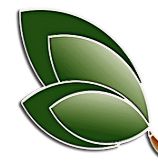 Grünes Blattform-Design mit zwei überlappenden Blättern auf weißem Hintergrund.