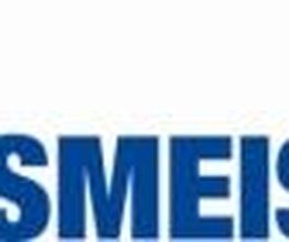 DER HAUSMEISTER PROFI Logo