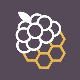 Berry with honeycomb pattern on dark purple background.