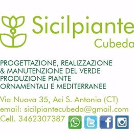 Logo Sicilpiante: progettazione e produzione piante ornamentali. Contatti e social media inclusi.