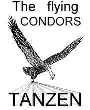 The flying Condors Logo