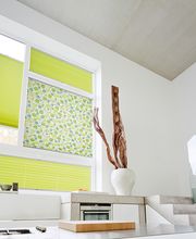 Plissee in frischem grün!