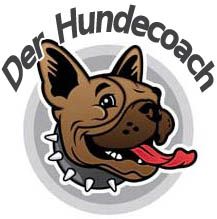 Ein brauner Hund mit Nietenhalsband, darüber der Schriftzug "Der Hundecoach".