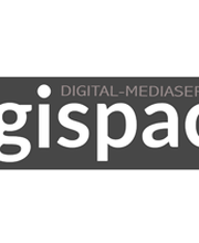 DIGISPACE Logo