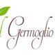 Logo Germoglio con disegno di germoglio verde e testo elegante marrone.