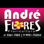 Logotipo da André Flores Floricultura com números de telefone e flor estilizada na letra "O".