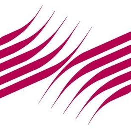 Red wavy lines on a white background forming an abstract pattern.