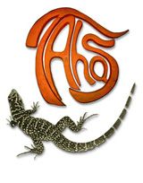 Ein schwarz-weißer Gecko unter einem großen, stilisierten, orangefarbenen Schriftzug.