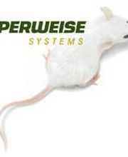 RÖPERWEISE GmbH Logo