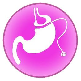 Stylized white stomach with a catheter on a pink gradient background circle.