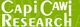 Grünes Logo mit weißem Text "CapiCawi Research".