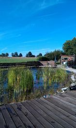 Teich mit Holzsteg, Schilf und blauem Himmel in ländlicher Umgebung, mit Bäumen im Hintergrund.