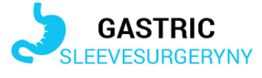 Logo with a stylized stomach and text: "Gastric Sleeve Surgery NY" in black and blue.